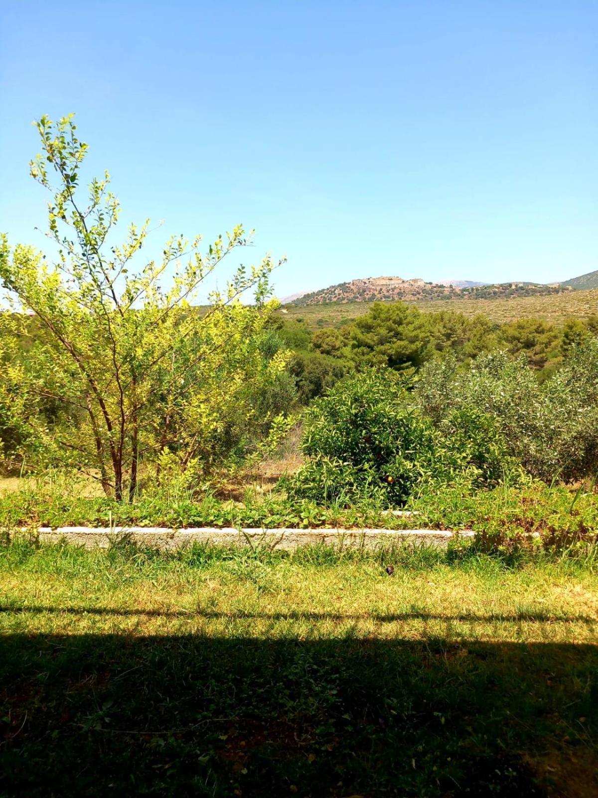 4T Apartments Argostoli (Kefalonia) Exterior foto